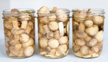 Консервиране на гъби печурки в буркани – съхранете аромата на горските богатства